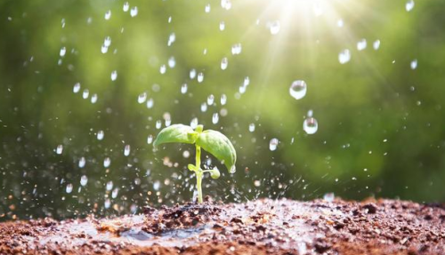 立夏下雨对农事有影响吗？立夏下雨有什么说法？听听老农如何说