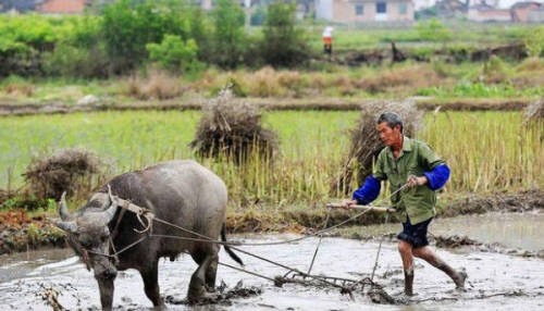 农村的老话：“惊蛰吹起土，倒冷四十五”是什么意思？有道理吗？