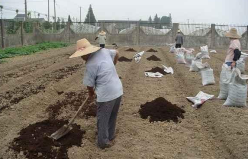 怎样“才能使土地变疏松，不再板结”呢？内行人教你几个小妙招