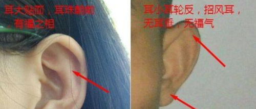 农村俗语“耳薄如纸，苦得要命”啥含义？有没有科学依据？该看看