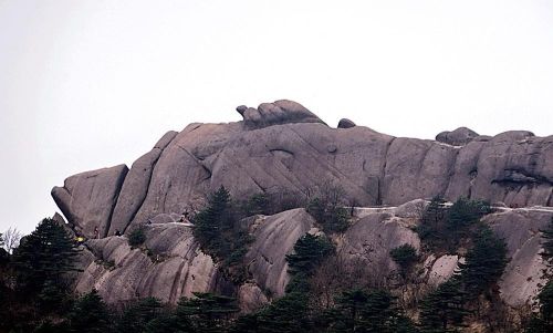 黄山奇石鳌鱼驮金龟介绍(黄山鳌鱼驮金龟)