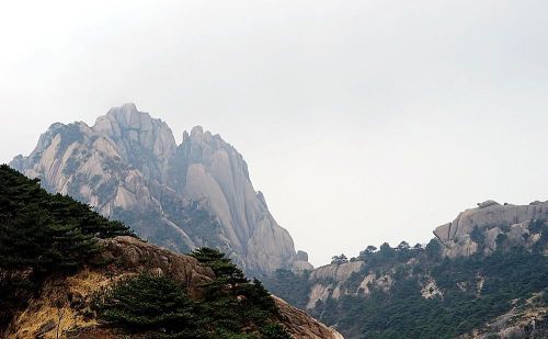 黄山奇石鳌鱼驮金龟介绍(黄山鳌鱼驮金龟)