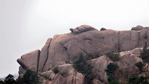 黄山奇石鳌鱼驮金龟介绍(黄山鳌鱼驮金龟)