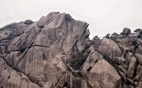 黄山奇石鳌鱼驮金龟介绍(黄山鳌鱼驮金龟)