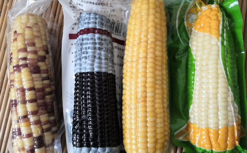 农村玉米收购价多少钱一斤(农村收购玉米多少钱)