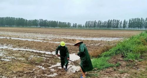 今年夏天的雨水多不多？看谷雨的天气就知道，老祖宗的智慧准不准