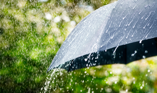 “雨打坟，出贵人；雨打棺，财人疏”，这句话真实意思你知道吗？