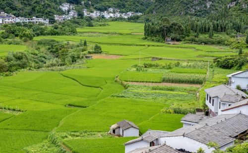 “雨打坟，出贵人；雨打棺，财人疏”，这句话真实意思你知道吗？