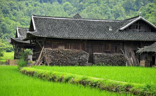 四川农村百姓以前头上盘白布，其来源有两种说法，哪种更靠谱？