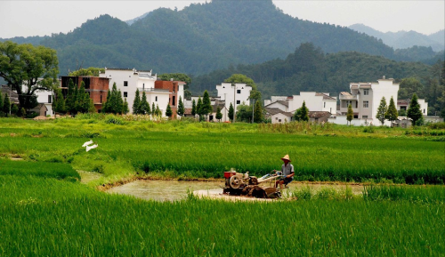 到别人家做客或串门，忌“两不、两包、两房”，分别指什么？