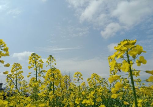 今日谷雨，是“纯金交谷雨，三做三忌讳”，开运添财气：分别指啥