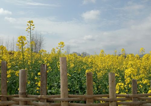 三月初三上巳节，是“白虎守门，天马击破”：不做3事家平安