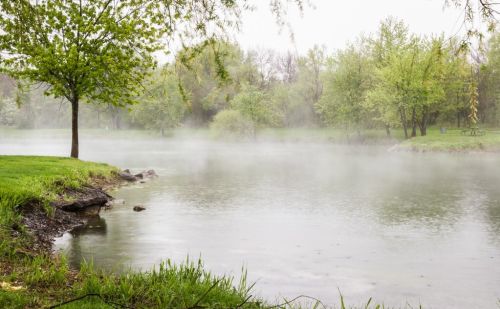 清明怕雨，谷雨怕晴：谷雨将至，晴天啥预兆？啥时候会有雨？