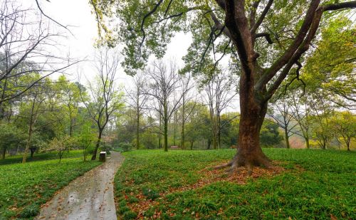 清明怕雨，谷雨怕晴：谷雨将至，晴天啥预兆？啥时候会有雨？