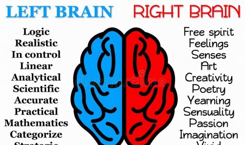 右脑思维和左脑思维有什么差别吗(右脑思维和左脑思维有什么区别)