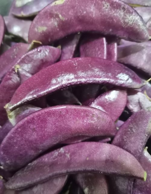 它叫扁豆，在农村常不被人重视，却被称为“豆中之王”，你爱吃吗