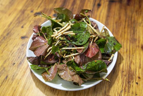 春节在农村过年，可去山里找这6种野菜，过年吃比大鱼大肉更香