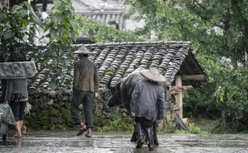 临近年底了，这些农村老人才懂得民间禁忌，了解一下不吃亏