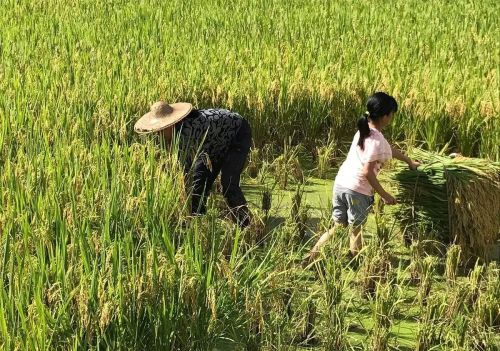 农村老俗语“男怕五月，女怕腊月”，是什么意思？今天还有道理吗