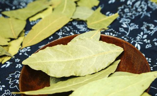 烹饪肉类常用到的“香叶”，是香樟树的叶子吗？为什么呢？