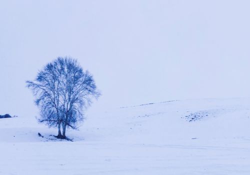 今日小雪，小雪当天下雪好还是天晴好？各有什么说法？看农谚咋说