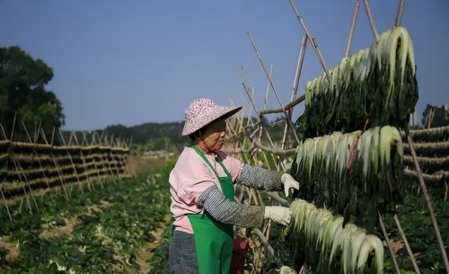 小有名气的5种含毒农作物，过去被当成宝很多人种，你吃过几种？