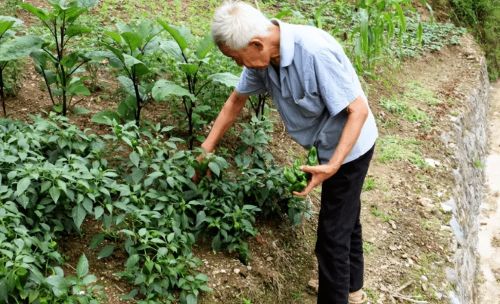 “老不泄残精，少不食壮火；富不住大屋，穷不行远路”是啥意思？