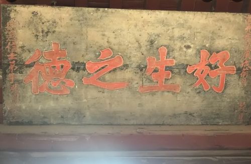 农村的古训“家蛇不能打”，什么是“家蛇”？为什么不能打？