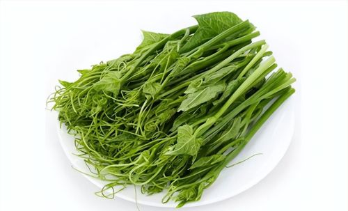 广东人爱吃的蔬菜，是你想不到的奇花异草，很多人种过却不知能吃