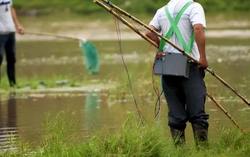 5元1斤，1天可捕40斤，南方农村电蚯蚓猖狂，农民：危害不输电鱼