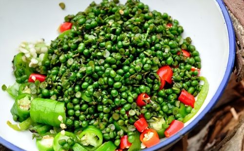 俗称“山胡椒”，长得像樟树果，很多人见过却不识货，煮肉很下饭