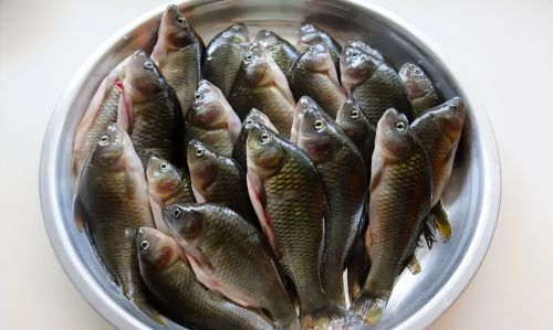 30年前常吃的6种“河鱼”，如今很多年轻人都没见过，你认识几种