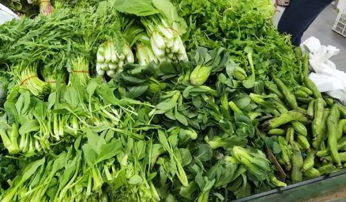 若你家有菜地，想办法种这10种蔬菜，管理粗放产量高，新手也能种
