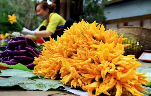 “春天做个花痴也挺好”，7种可以当野菜吃的花，美味又不失营养