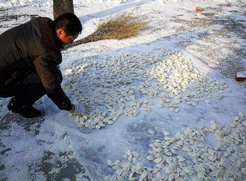 南方小伙去了趟东北农村集市，发现不只有冻梨，几乎万物皆可冻