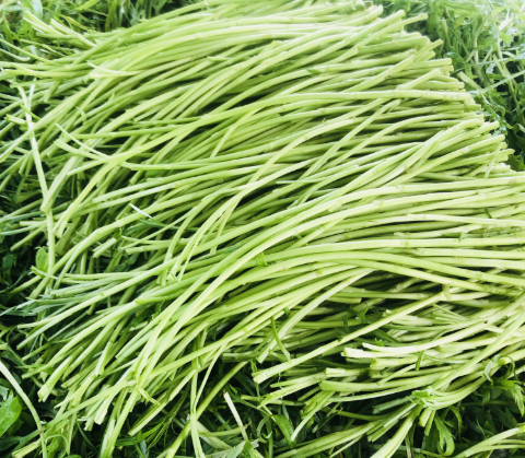 藜蒿：酷似“高富帅”版的艾草，河边常成片生长，反季节10元1斤