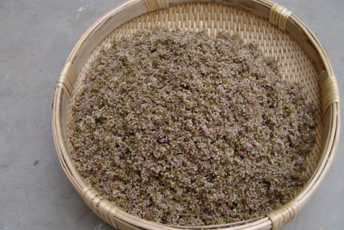 摘蒙花：酷似野葱，花朵香味浓郁，晒干 140元1斤，做酱料是一绝