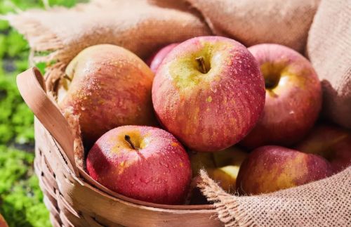 俗称“丑苹果”，因样貌丑陋而被质疑为劣质果，却靠品质而翻红