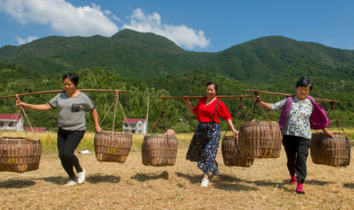 80年代在农村，肩挑300斤的大力士“遍地走”，为何现在没有了？