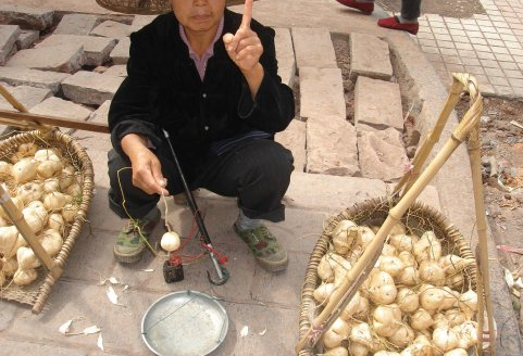 亩产达万斤，曾是南方常见作物，种子却含有剧毒，如今少人种了