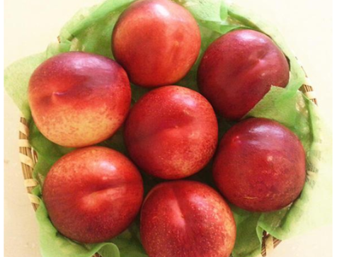 桃子的变种，光滑无毛似李子，被怀疑是转基因，反季节却1斤30元