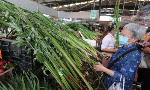 端午节悬挂艾草讲究多，别犯“忌”，这样做会被人笑话