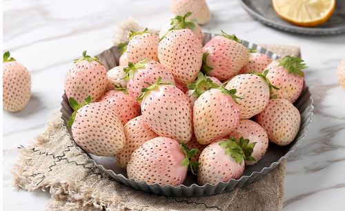 白草莓：因长相而被误解，吃起来一股奶油味，遇到拿盆采摘