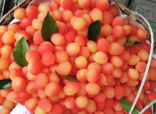 它叫金西梅，人为造出来的水果，1斤40常有人买，割智商税？