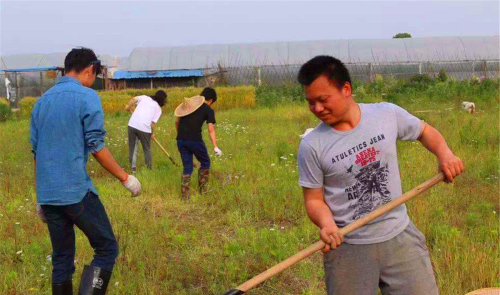 在农村哪个属相不受待见，老祖宗总结了一句俗语，还适用吗？