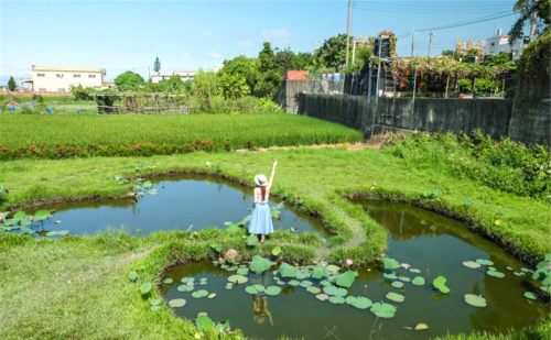 俗语：“两边池塘中间路”，下半句少有人知，老祖宗的讲究有理吗