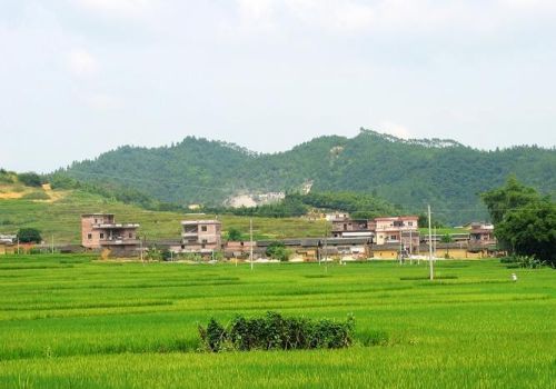 “老坟好不好，看坟土就知道”，啥意思？看完文章就明白了