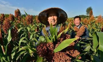 七月初二雨，啥预兆？这天还有啥习俗？