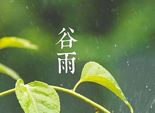 谷雨下雨有啥说讲？该注意什么？听听老人咋说吧