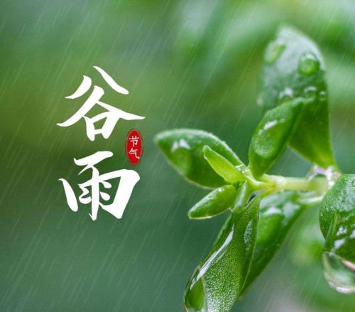 谷雨下雨有啥说讲？该注意什么？听听老人咋说吧